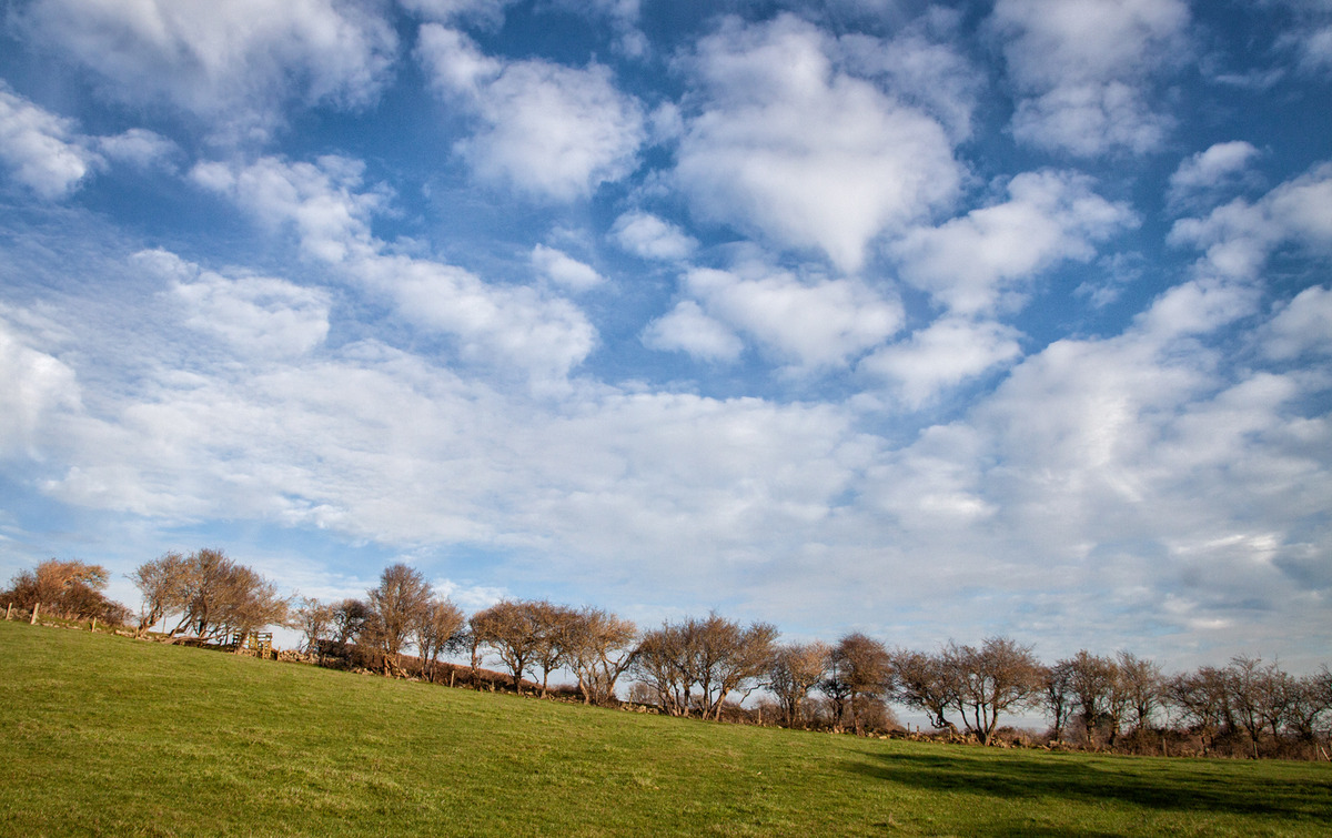 The Edge of the Field